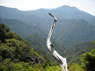 f0308898_20202449.jpg