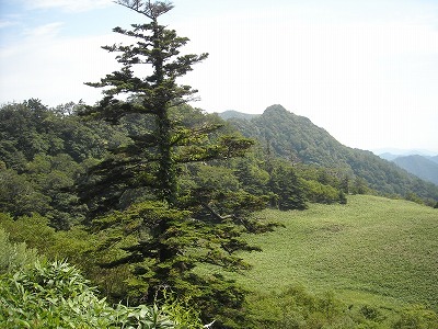f0308898_20210380.jpg