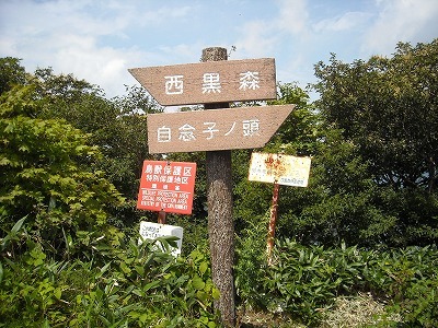 f0308898_20211132.jpg
