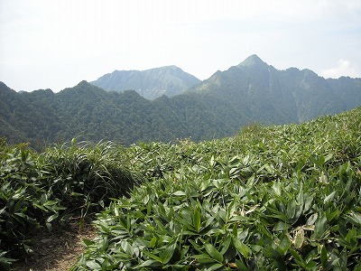 f0308898_20220390.jpg