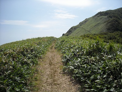 f0308898_20221602.jpg