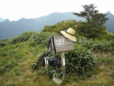 f0308898_20232929.jpg
