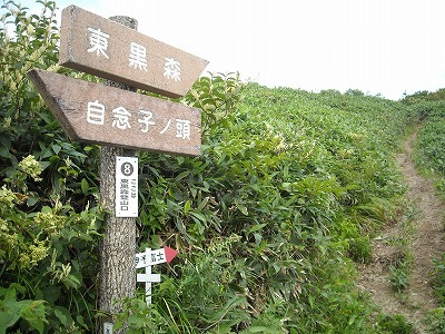 f0308898_20245003.jpg