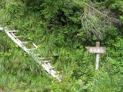 f0308898_20250791.jpg