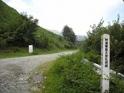 f0308898_20255877.jpg