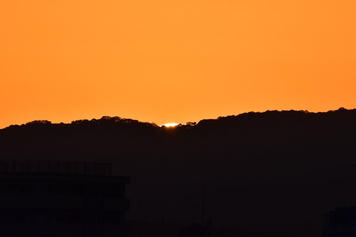c0049299_22381427.jpg