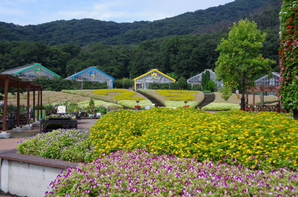 秋深まるみかも山へ　～　とちぎ花センター_b0356401_14541459.jpg