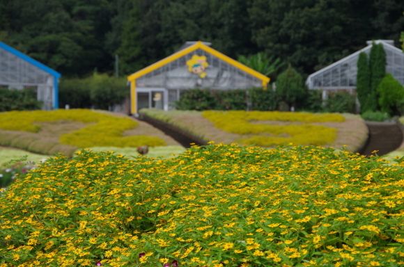 秋深まるみかも山へ　～　とちぎ花センター_b0356401_14542871.jpg