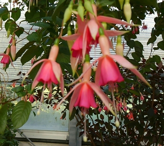 d0306603_01360561.jpg