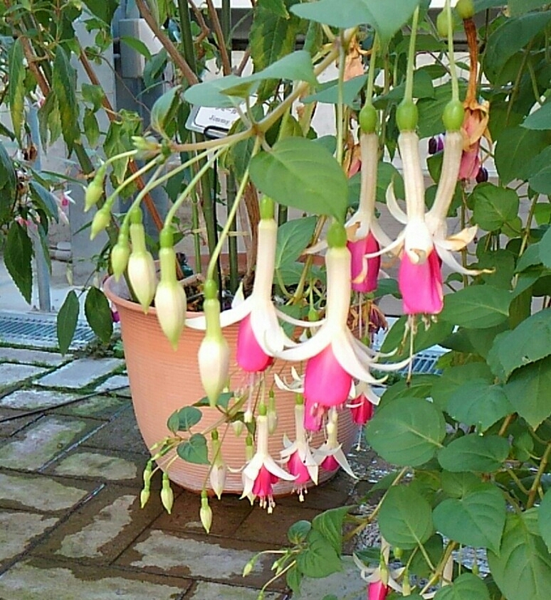 d0306603_01360900.jpg