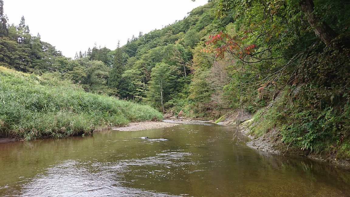 b0172805_19113829.jpg