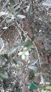 d0241210_04132051.jpeg