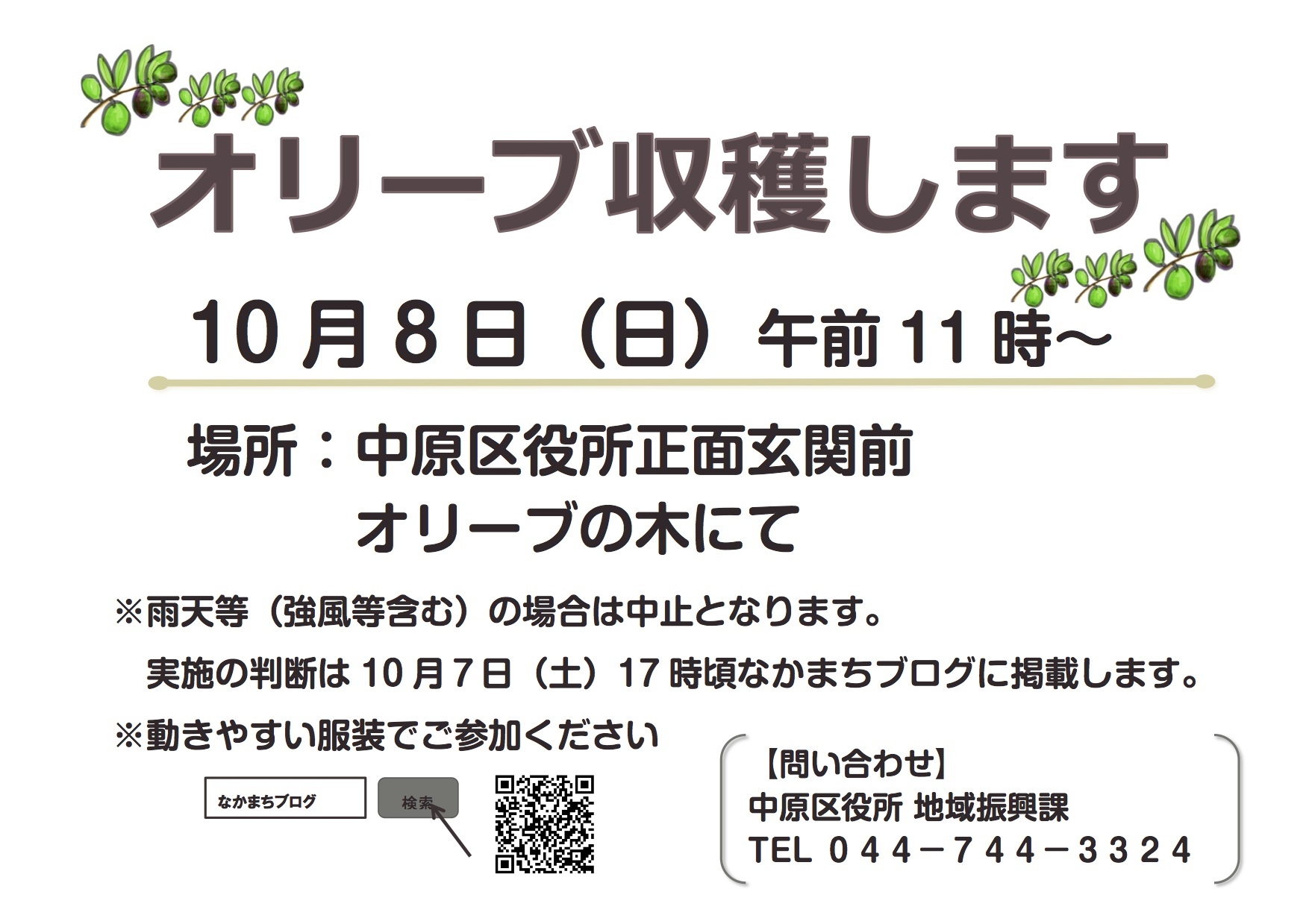 区役所オリーブ収穫します《10月8日(日)》_d0241210_04231027.jpg