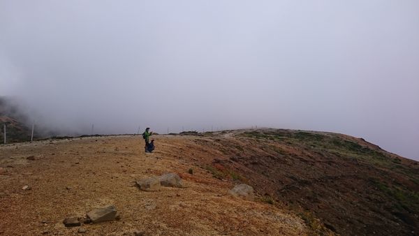 f0006510_20130630.jpg