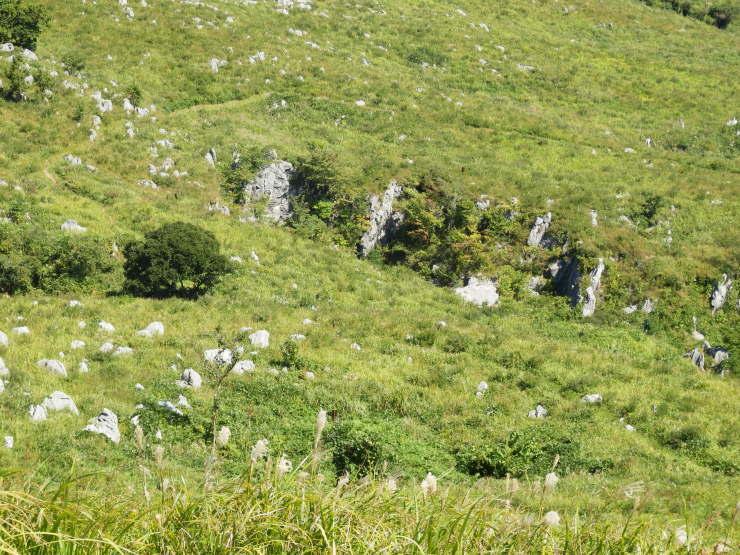 f0219710_14051058.jpg