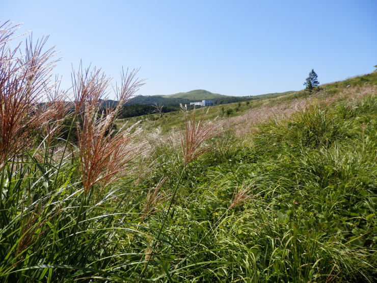 f0219710_14104752.jpg