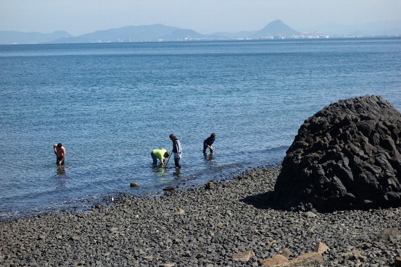 １０月２日 (mon)  雨 ／ 飛び猫の島パトロール..その２(photo=9/30)_a0059311_20442741.jpg