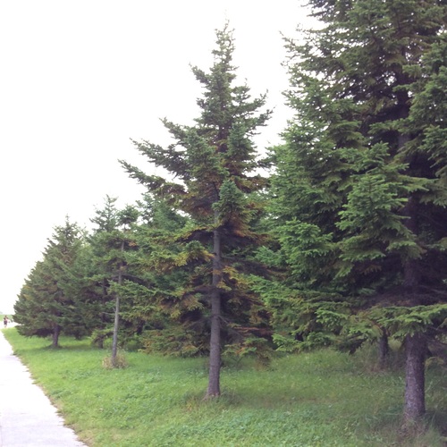 e0052716_10251699.jpg