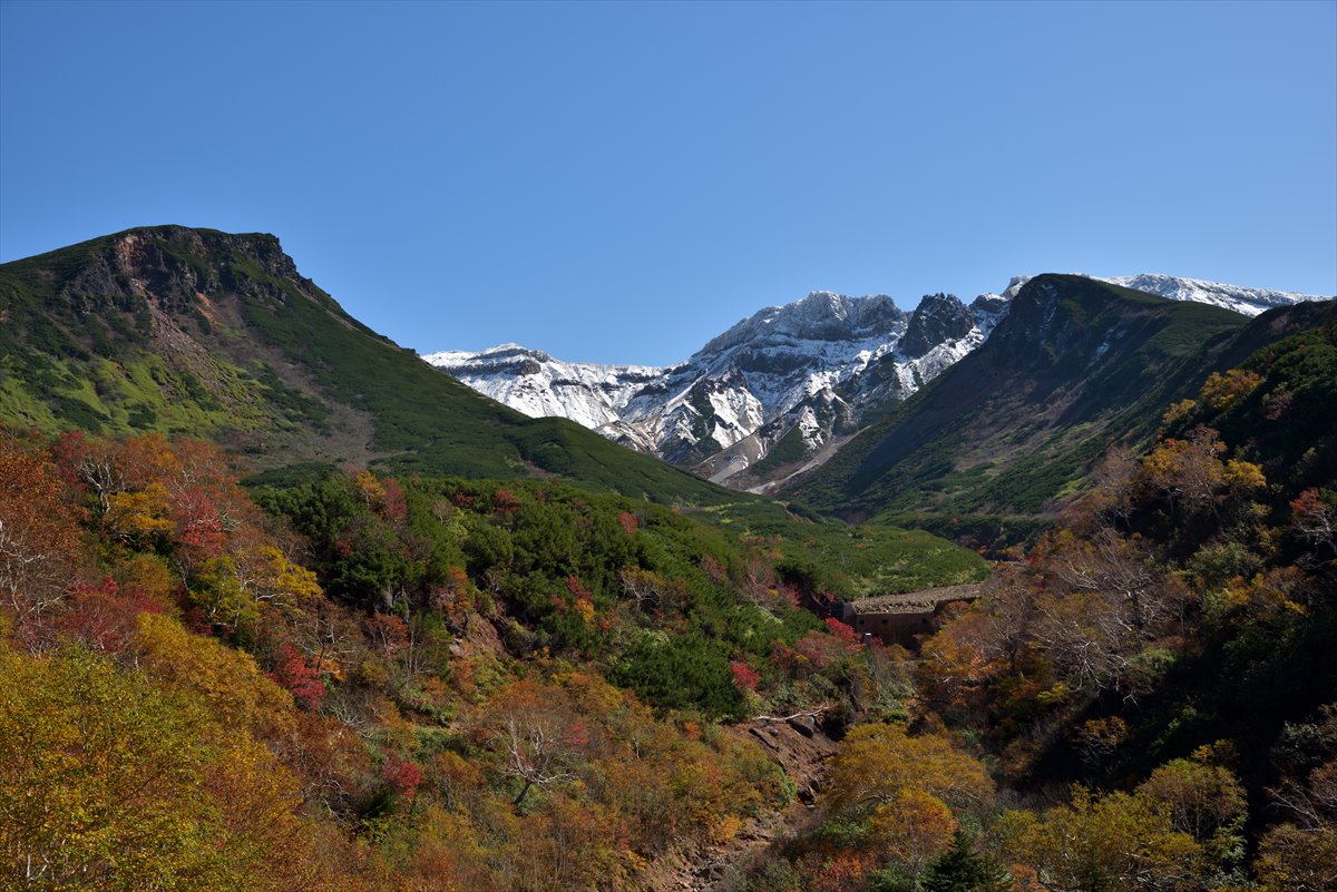 紅葉と雪】富良野岳（の途中まで）2017.10.1 : やぁやぁ。