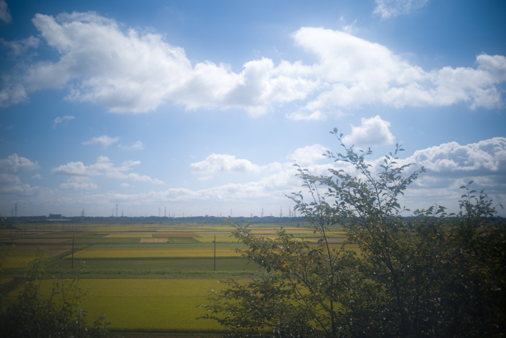 d0161322_22274128.jpg