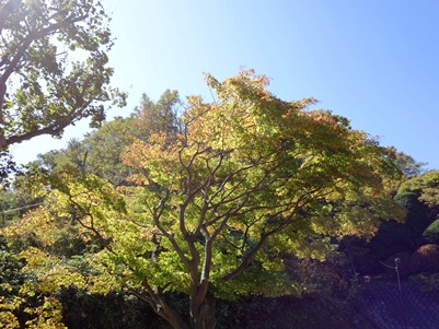 c0204725_19393093.jpg
