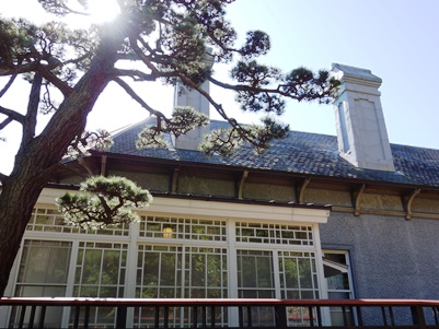 c0204725_19422435.jpg