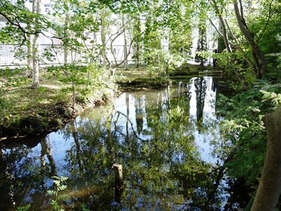 c0204725_21343922.jpg