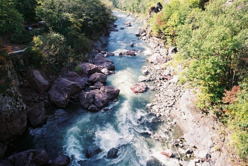 f0362725_15570023.jpg