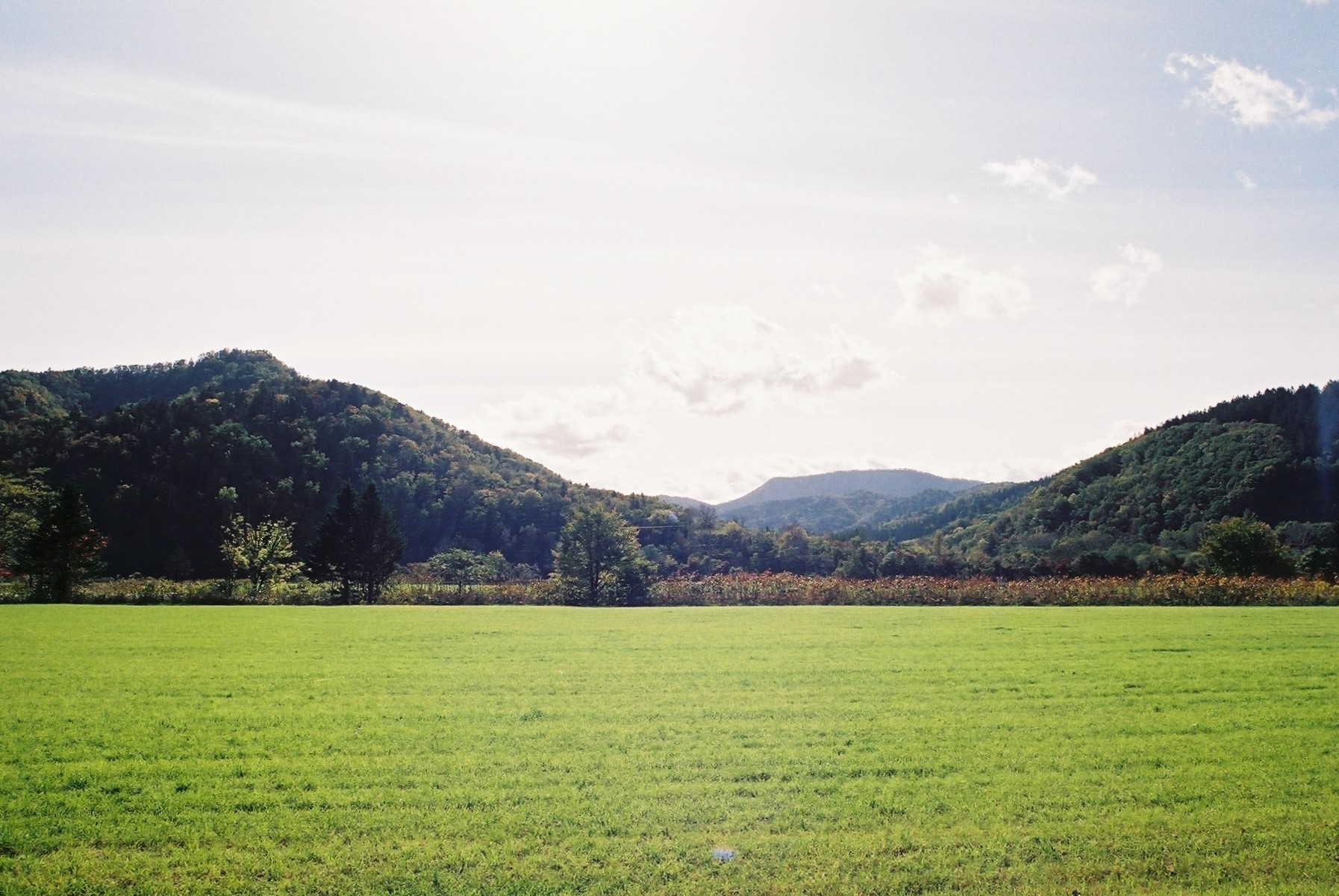f0362725_15573693.jpg