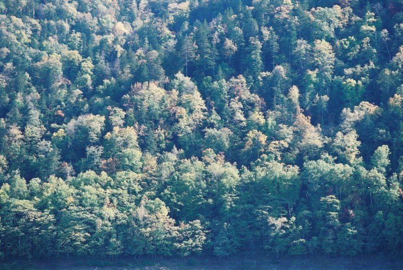 f0362725_15580990.jpg