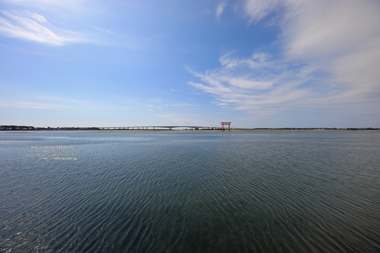まゝに/10月の散策/浜名湖ガーデンパーク.掛川花鳥園他その1_d0342426_00261392.jpg