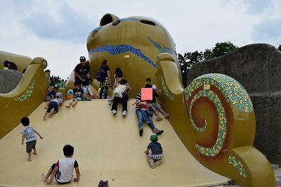 八尾市 久宝寺緑地公園 大和なでしこ 八尾市 久宝寺緑地公園 大和なでしこ