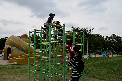 八尾市 久宝寺緑地公園 大和なでしこ 八尾市 久宝寺緑地公園 大和なでしこ