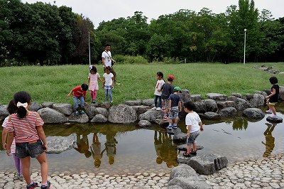 八尾市 久宝寺緑地公園 大和なでしこ