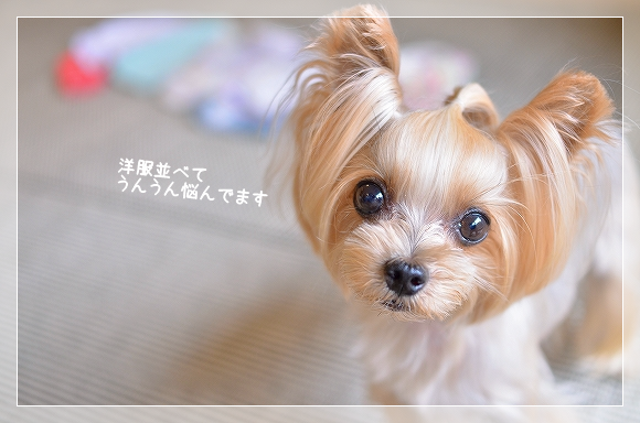 d0179828_13180900.png