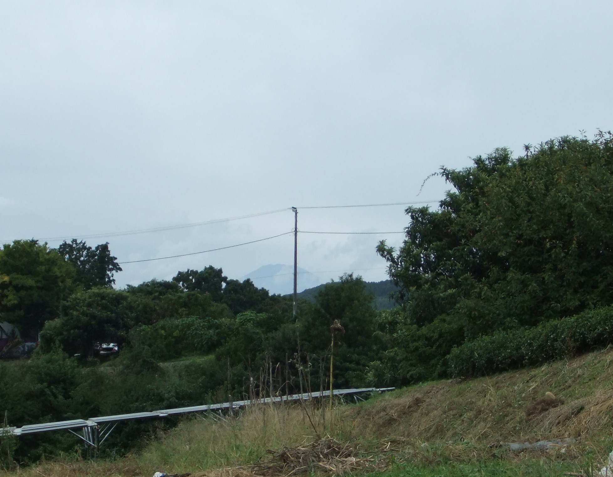 b0137932_15430894.jpg