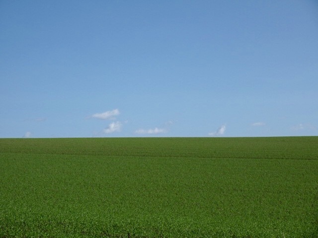 a0329935_07110301.jpeg