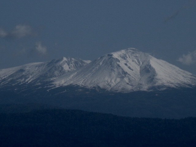 a0329935_07584656.jpeg