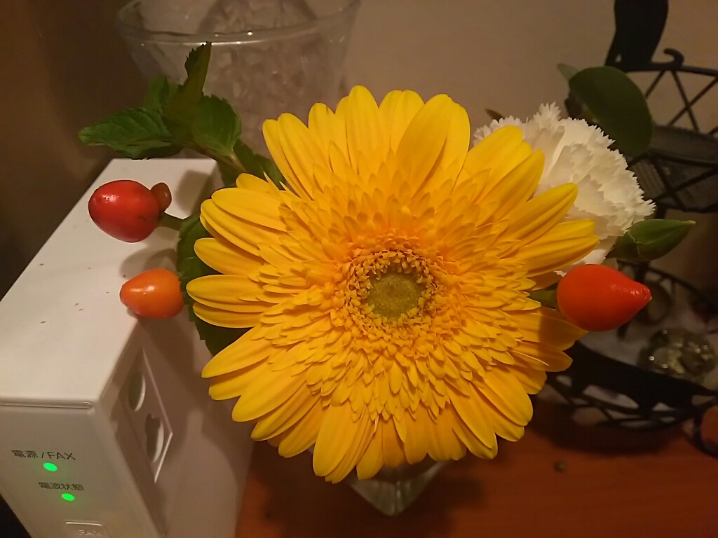 c0076939_21583446.jpg