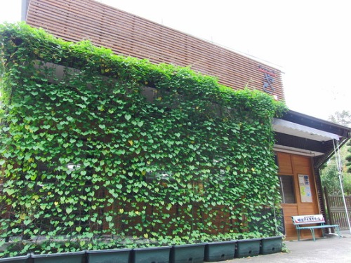 e0222340_15354413.jpg