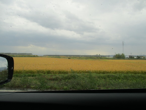 a0279743_16562549.jpg
