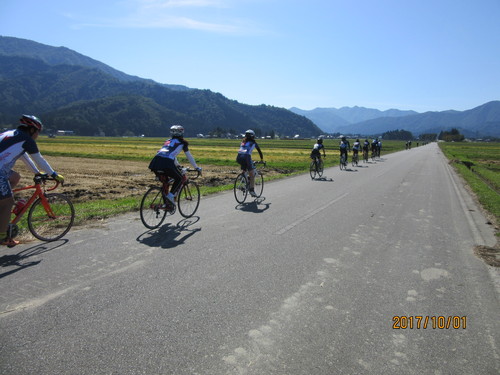 f0279343_8491160.jpg