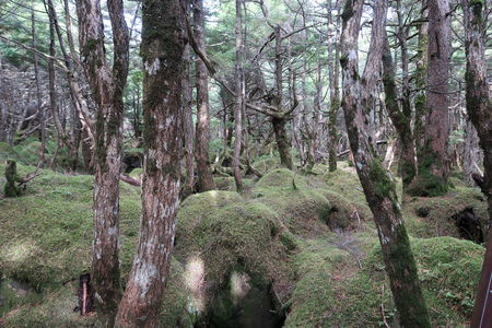 c0201450_85148.jpg