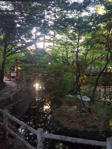 f0175051_07180199.jpg