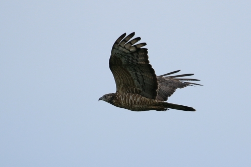 c0352852_22432367.jpg