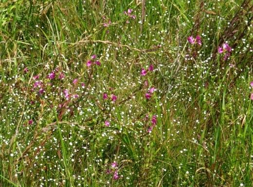 a0018655_14090202.jpg