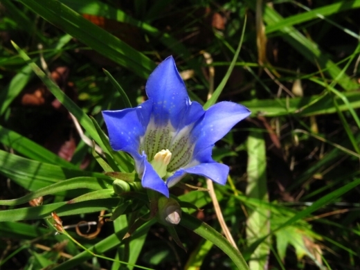 a0018655_14092045.jpg