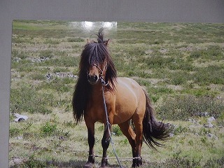 e0004756_21181102.jpg