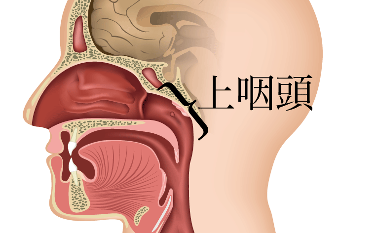上咽頭擦過療法(いわゆるBスポット療法)_e0084756_18361383.gif