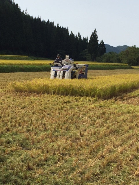 新しい生活が始まりました_b0093660_09413677.jpg